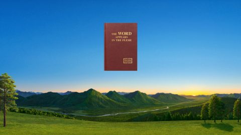 Warum muss Gott zu Fleisch werden, um das Werk des Gerichts in den letzten Tagen zu vollbringen? Im Zeitalter des Gesetzes benutzte Gott Moses, um Sein Werk zu vollbringen, warum kann Gott also nicht den Menschen dazu benutzen, um Sein Werk des Gerichts in den letzten Tagen zu vollziehen?