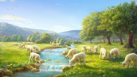 Aber als ich diese Zeile von den Worten des Allmächtigen Gottes sah: „Nur der Christus der letzten Tage kann dem Menschen den Weg zum ewigen Leben geben“, erinnerte ich mich daran, was der Herr Jesus einst sagte: „… wer aber von dem Wasser trinken wird, das ich ihm gebe, den wird ewiglich nicht dürsten; sondern das Wasser, das ich ihm geben werde, das wird in ihm ein Brunnen des Wassers werden, das in das ewige Leben quillt.“ (Joh 4,14) Wir wissen schon, dass der Herr Jesus die Quelle des lebendigen Wassers des Lebens ist und der Weg des ewigen Lebens. Könnte es sein, dass der Allmächtige Gott und der Herr Jesus dieselbe Quelle sind? Sind ihr Werk und ihre Worte beide vom Heiligen Geist? Werden ihre Werke vom selben Gott getan?