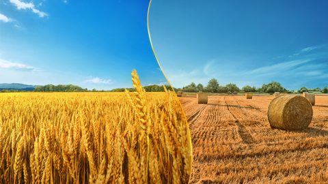 Welche Menschen errettet Gott? Welche Menschen beseitigt Er?