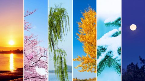 Am vierten Tag werden die Jahreszeiten, Tage und Jahre der Menschheit ins Dasein gerufen, als Gott abermals Seine Autorität ausübt