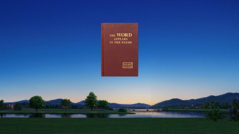 Ihr bezeugt die Tatsache, dass der Herr Jesus wiedergekehrt ist und Fleisch wurde, um Sein Werk zu verrichten. Das verstehe ich einfach nicht. Wir alle wissen, dass der Herr Jesus die Fleischwerdung Gottes war. Nachdem Sein Werk erledigt war, wurde Er gekreuzigt und dann wieder zum Leben erweckt, erschien vor all Seinen Jüngern und fuhr in Seinem herrlichen, spirituellen Körper in den Himmel auf. So wie es in der Bibel heißt: „welche auch sagten: Ihr Männer von Galiläa, was stehet ihr und sehet gen Himmel? Dieser Jesus, welcher von euch ist aufgenommen gen Himmel, wird kommen, wie ihr ihn gesehen habt gen Himmel fahren.“ (Apg 1,11) Die biblische Schrift bestätigt also, dass, wenn der Herr wiederkehrt, Er mit Seinem spirituellen Körper, uns erscheinen wird. Warum wird Gott in den letzten Tagen Fleisch werden als der Menschensohn, um Sein Werk des Gerichts zu verrichten? Worin besteht der Unterschied zwischen dem wiedererweckten spirituellen Körper des Herrn Jesus und Seiner Fleischwerdung als der Menschensohn?