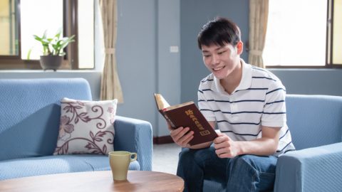 Ich fand das wahre Licht