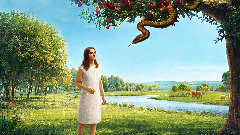 Woher kommen die Gerüchte