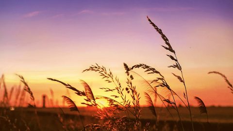 Was ist ein falscher Christus? Wie kann ein falscher Christ erkannt werden?