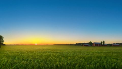Die grundlegende Lebensumgebung, die Gott für die Menschheit schafft – Licht