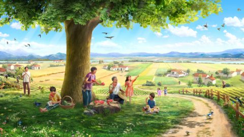 Geschichte 1. Ein Samenkorn, die Erde, ein Baum, das Sonnenlicht, die Singvögel und der Mensch