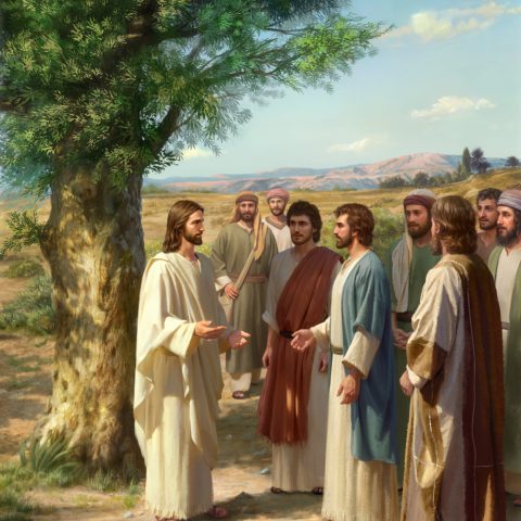 Warum der Herr Jesus die Schlüssel des Königreichs des Himmels Petrus gab