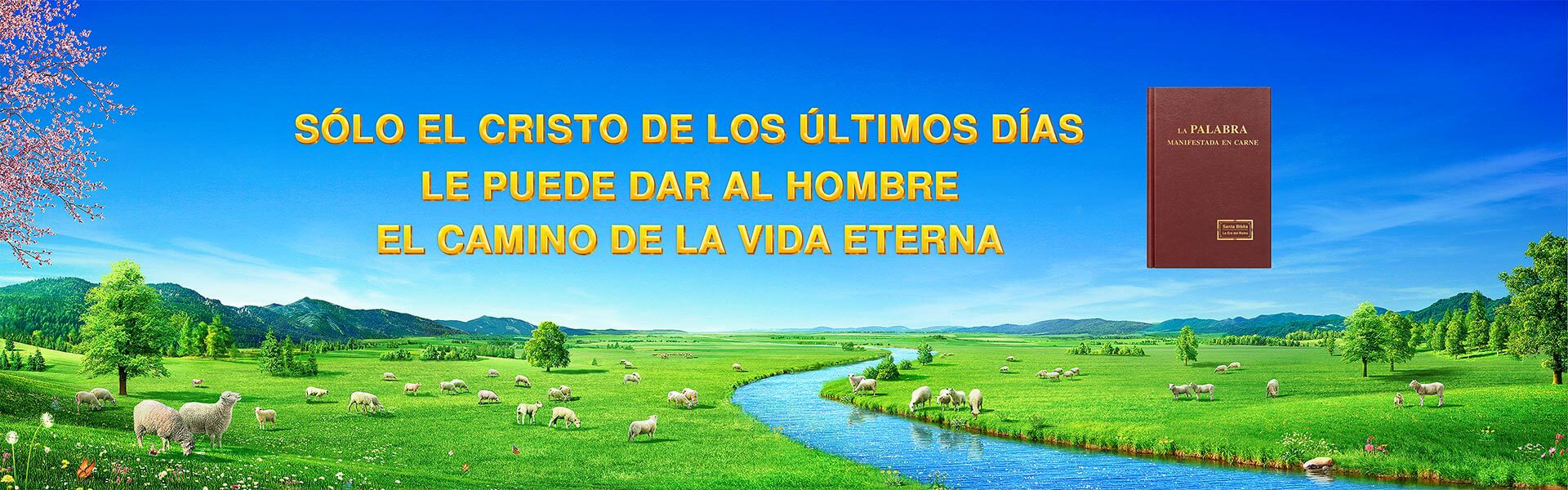 Solo el Cristo de los últimos días le puede dar al hombre el camino de la vida eterna