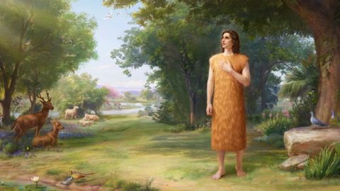 Dios hace abrigos de pieles para Adán y Eva | Evangelio del Descenso del  Reino