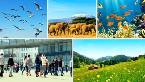 La realidad del control y el dominio del Creador sobre todas las cosas y los seres vivos hablan de la verdadera existencia de Su autoridad