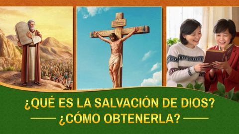 ¿Qué es la salvación según la Biblia y cómo obtenerla?