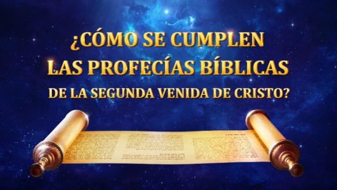 ¿Cómo se cumplen las profecías bíblicas de la segunda venida de Cristo?