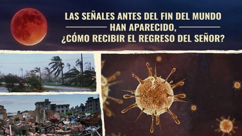 Las señales antes del fin del mundo han aparecido, ¿cómo recibir el regreso del Señor?