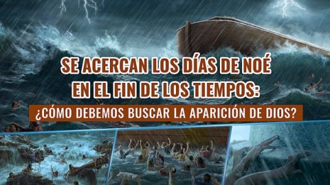 Se acercan los días de Noé en el fin de los tiempos: ¿Cómo debemos buscar la aparición de Dios?