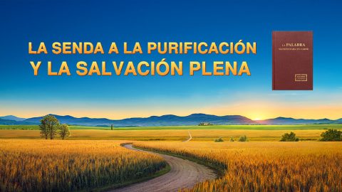 La senda a la purificación y la salvación plena