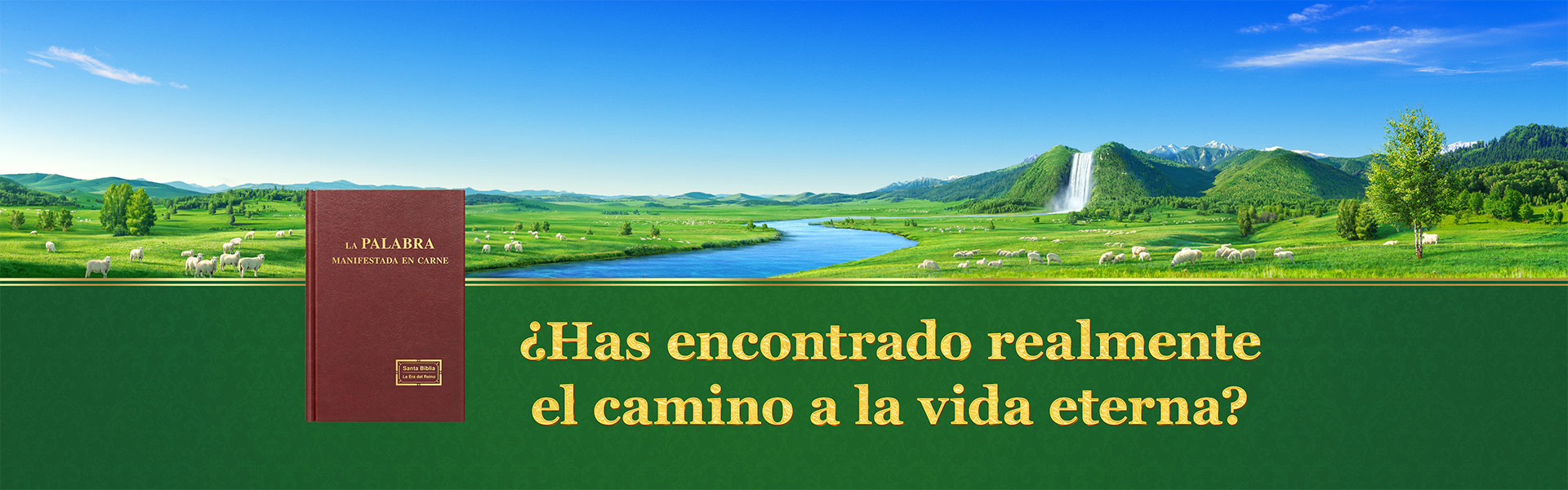 ¿Has encontrado realmente el camino a la vida eterna?