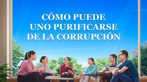 Cómo puede uno purificarse de la corrupción
