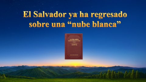 El Salvador ya ha regresado sobre una “nube blanca”