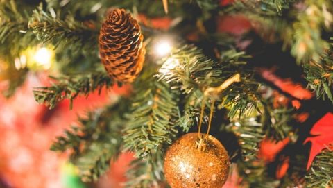 ¿Cuál es el significado de la Navidad y estás realmente adorando al Señor Jesús?