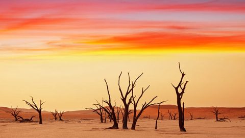 “la Trinidad” es la declaración más absurda