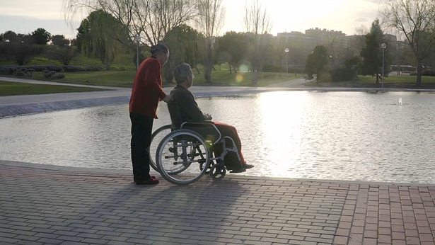 Una abuela junto al lago empujó al viejo abuelo en una silla de ruedas, y el abuelo miró el árbol opuesto.