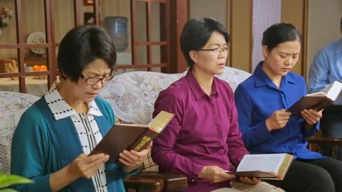 Veo la verdad de la corrupción de las personas