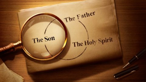 La Biblia afirma que, después del bautismo del Señor Jesús, se abrieron los cielos, el Espíritu Santo descendió sobre Él en forma de paloma y una voz dijo: “Este es mi Hijo amado en quien me he complacido” (Mateo 3:17). y nosotros, los creyentes, todos reconocemos que el Señor Jesús es Cristo, el Hijo de Dios. Sin embargo, ustedes dieron testimonio de que Cristo encarnado es la aparición de Dios, es Dios mismo, de que el Señor Jesús es Dios y de que también Dios Todopoderoso es Dios. Esto nos resulta bastante misterioso y difiere de lo que comprendíamos antes. Entonces, ¿Cristo encarnado es Dios mismo o el Hijo de Dios? Ambas situaciones nos parecen razonables y concuerdan con la Biblia. Entonces, ¿cuál es la correcta?