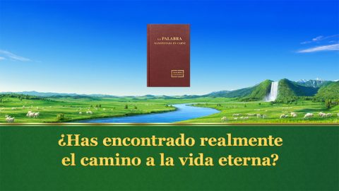 ¿Has encontrado realmente el camino a la vida eterna?