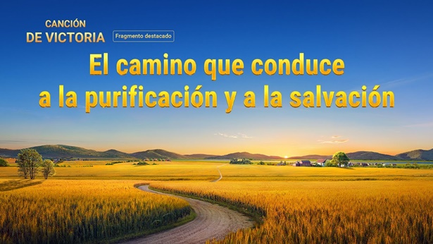 Fragmento 6 de película evangélico 