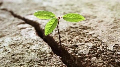 À deux doigts de la mort, je reçois l’aide de Dieu Tout-Puissant