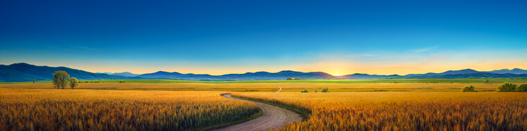 Le chemin vers la purification et le salut