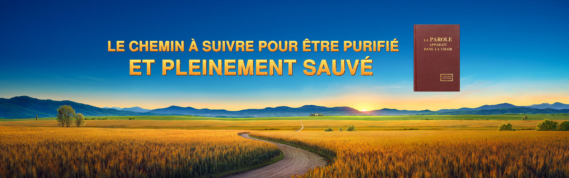 Le chemin à suivre pour être purifié et pleinement sauvé