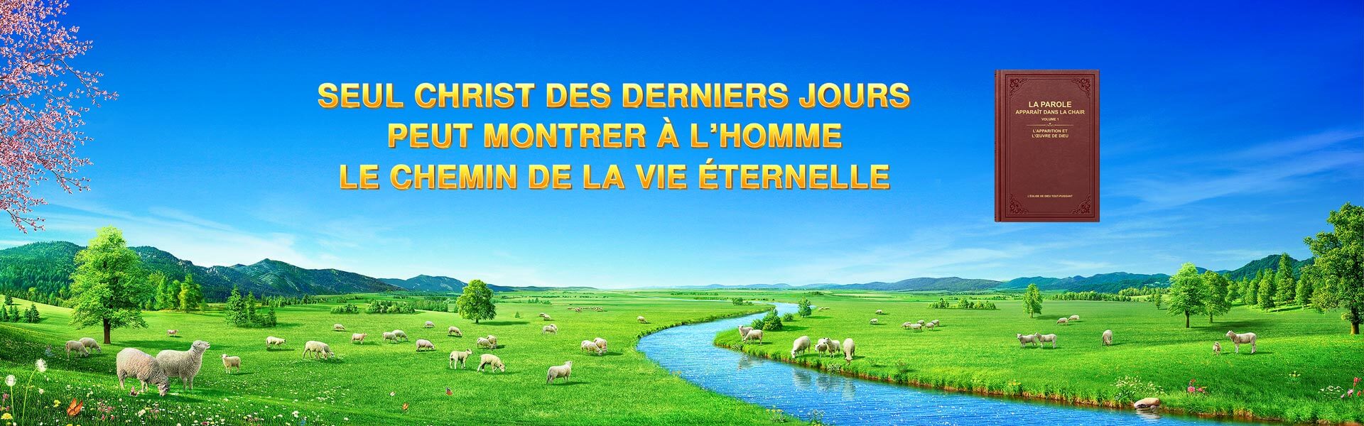 Seul Christ des derniers jours peut montrer à l’homme le chemin de la vie éternelle