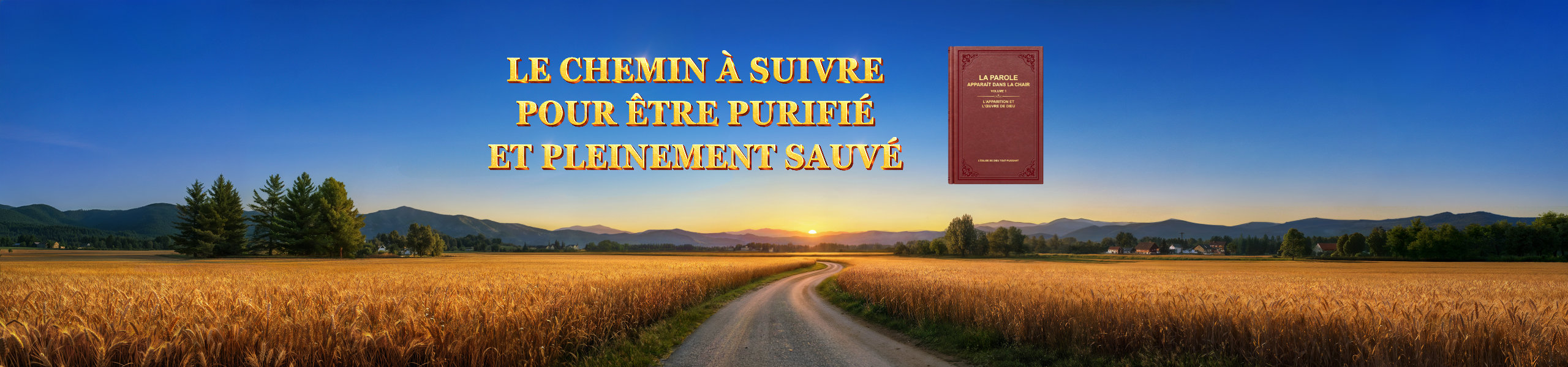 Le chemin à suivre pour être purifié et pleinement sauvé