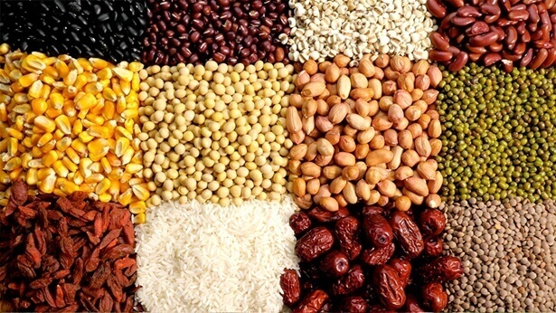 i vari cipi, mais, riso, fagioli, goji