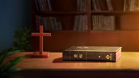 il mondo religioso, il pastore, la chiesa