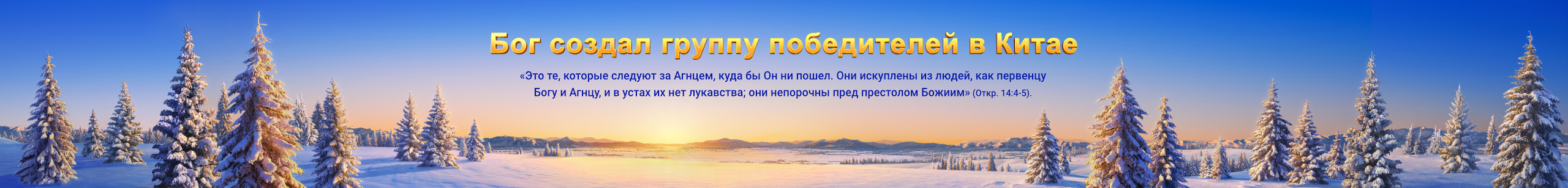 Banner-experiences-3-pc