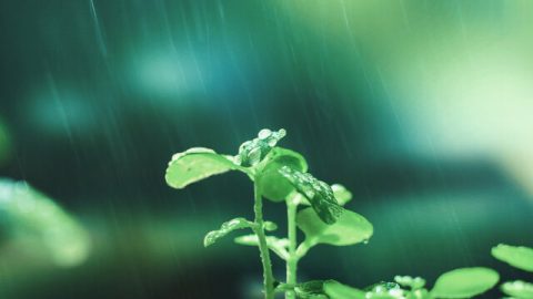 Дорога к очищению