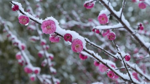 Страдания и испытания — благословения избранного