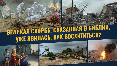 Великая скорбь, сказанная в Библии, уже явилась, как восхититься?