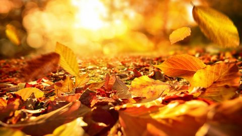 Что значит по-настоящему верить в Бога