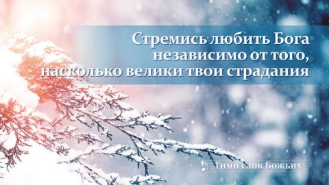 Стремись любить Бога независимо от того, насколько велики твои страдания