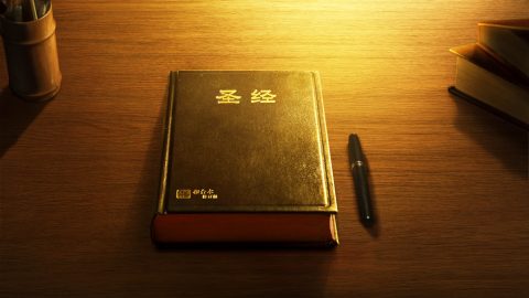 圣经只是神律法时代、恩典时代两步作工的纪实，并不是神全部作工的记载