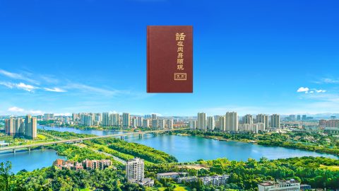 神是怎么带领、供应人类走到今天的