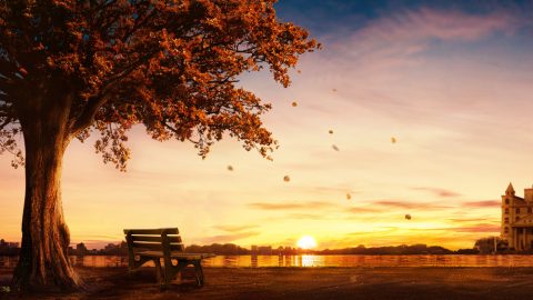 败坏人类掌权给人类带来哪些危害、后果