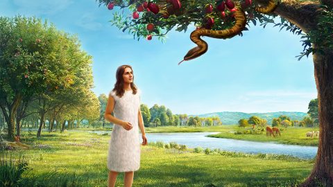 谣言是从哪里来的，是怎么产生的？