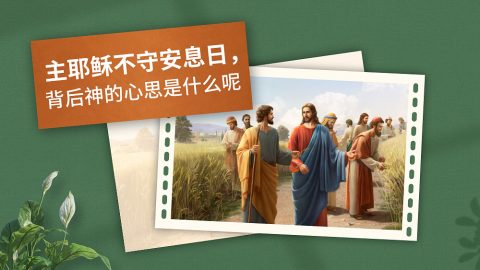 主耶稣不守安息日，背后神的心思是什么呢