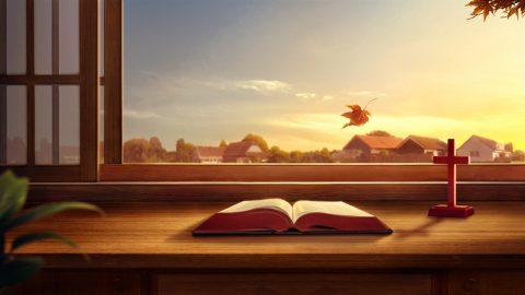 圣经是神作工的见证，这对于人类的造就真是太大了，我们都是通过读圣经才承认天地万物都是神造的，才看见了神作为的奇妙、伟大，还有神的全能。圣经里面都是神的话与人的见证，那人读圣经为什么就得不着永生呢？难道圣经里面就没有永生之道吗？