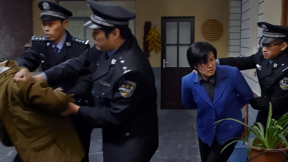 被中共抓捕之后