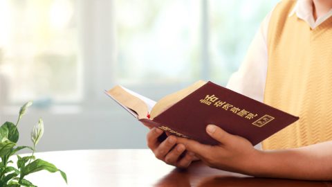 什么是真正的接受真理